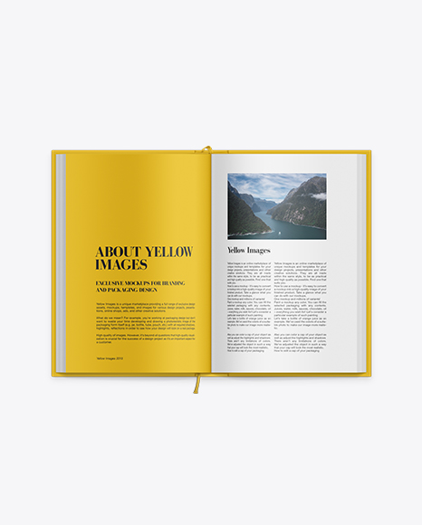 Download Square Book Mock Up Yellowimages