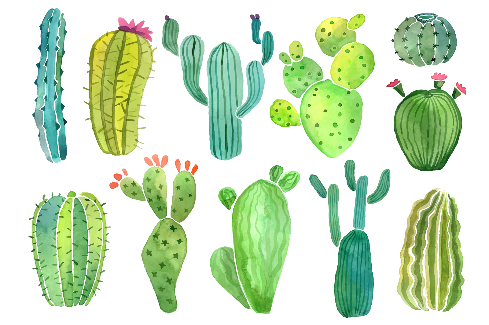 Download Watercolor cactus and succulent set in Illustrations on ...